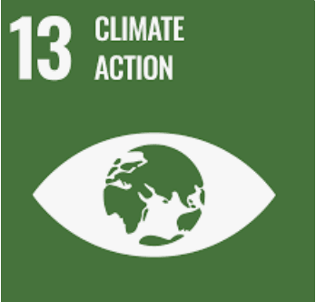 SDG 13